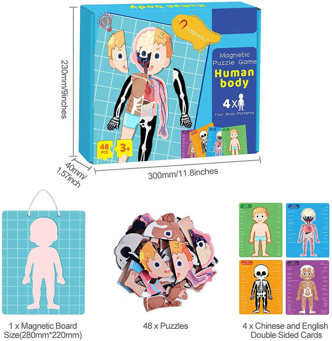 48 sztuk Edukacyjne Magnetyczne Ludzkie Ciało Puzzle Puzzle Do zabawek dla 3-letniego malucha 0